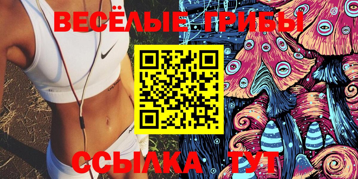 Псилоцибиновые грибы GOLDEN TEACHER Орехово-Зуево