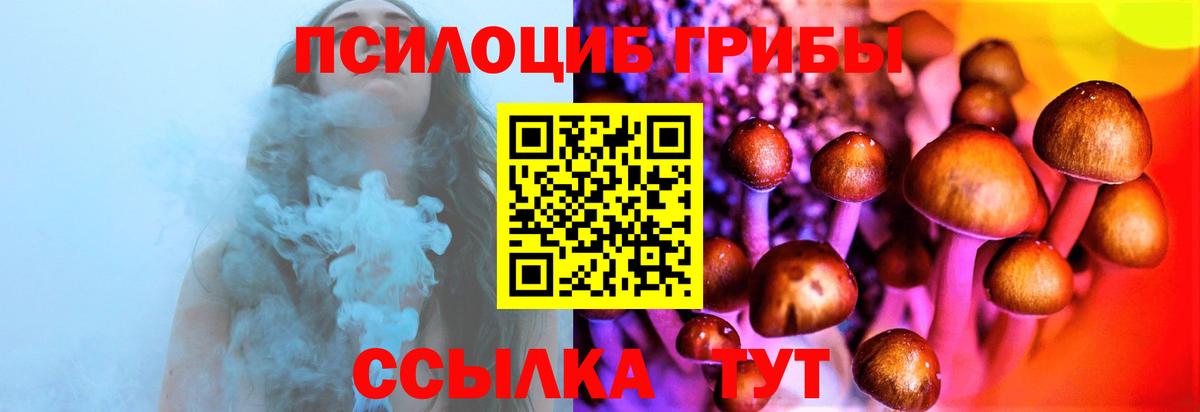 Псилоцибиновые грибы MAGIC MUSHROOMS  Вход с VPN  Орехово-Зуево 